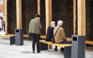 Raciborzanie mogą już korzystać z pięknej tężni na Ostrogu (13)