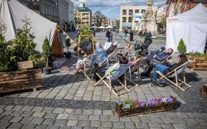 Za nami finał akcji 
