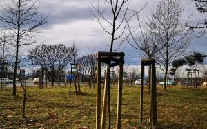 Utworzenie skweru Jana Darowskiego wraz z tablicą informacyjną w Raciborzu  przy zbiegu ulic Markowickiej i S. Drzewieckiego (7)