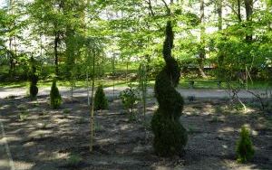 Park Stala zmienia się nie do poznania (7)