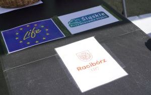 Park Stala zmienia się nie do poznania (9)