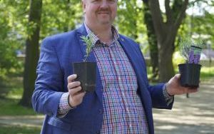 Park Stala zmienia się nie do poznania (1)