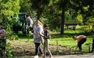 Park Stala zmienia się nie do poznania (4)