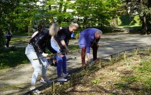 Park Stala zmienia się nie do poznania (5)
