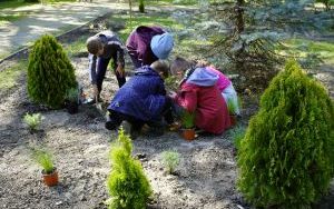 Park Stala zmienia się nie do poznania (13)
