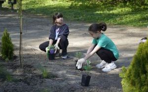Park Stala zmienia się nie do poznania (18)