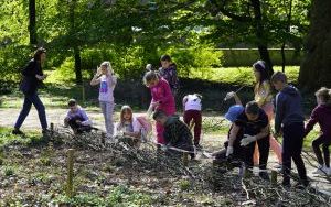 Park Stala zmienia się nie do poznania (7)