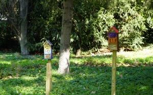 Park Stala zmienia się nie do poznania (8)