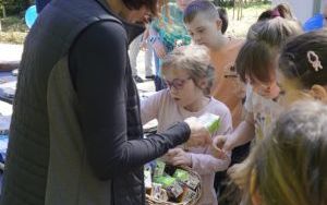 Park Stala zmienia się nie do poznania (12)