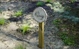 Park Stala zmienia się nie do poznania (15)