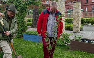 Dwie wyjątkowe grusze upiększyły Park Jordanowski (14)