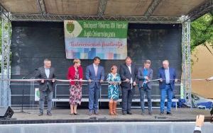 Dzień miast partnerskich w Budapeszcie (10)