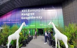 XVI edycja Europejskiego Kongresu Gospodarczego już za nami (8)