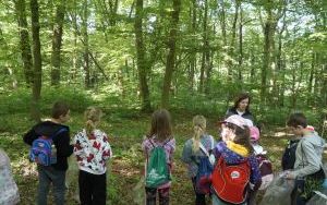 Dzieci ze Szkolnego Zespołu Antysmogowego z wizytą w Arboretum Bramy Morawskiej w Raciborzu (8)