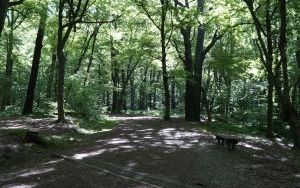 Dzieci ze Szkolnego Zespołu Antysmogowego z wizytą w Arboretum Bramy Morawskiej w Raciborzu (11)