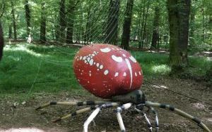 Dzieci ze Szkolnego Zespołu Antysmogowego z wizytą w Arboretum Bramy Morawskiej w Raciborzu (13)