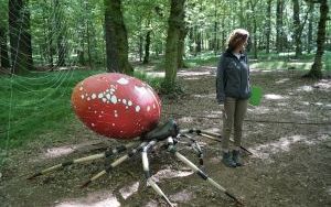 Dzieci ze Szkolnego Zespołu Antysmogowego z wizytą w Arboretum Bramy Morawskiej w Raciborzu (14)