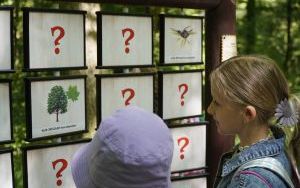 Dzieci ze Szkolnego Zespołu Antysmogowego z wizytą w Arboretum Bramy Morawskiej w Raciborzu (3)