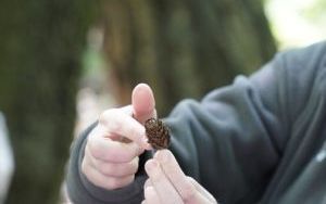 Dzieci ze Szkolnego Zespołu Antysmogowego z wizytą w Arboretum Bramy Morawskiej w Raciborzu (7)