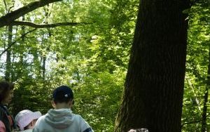 Dzieci ze Szkolnego Zespołu Antysmogowego z wizytą w Arboretum Bramy Morawskiej w Raciborzu (9)