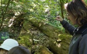 Dzieci ze Szkolnego Zespołu Antysmogowego z wizytą w Arboretum Bramy Morawskiej w Raciborzu (13)