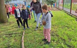 Zielone pomysły w Inicjatywie Lokalnej (1)