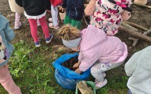 Zielone pomysły w Inicjatywie Lokalnej (5)