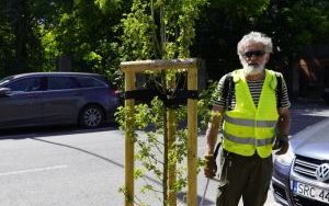 Mikoryzacja głogów jednoszyjkowych przy ulicy Ogrodowej (7)