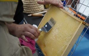Eko-rajd rowerowy i Światowy Dzień Pszczoły na Kempingu Obora (11)