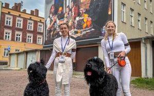 Gwiezdny Szturm na Miasto (7)