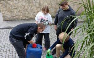  Zakątek przy ulicy Karola Miarki upiększyły różnorodne rośliny (2)