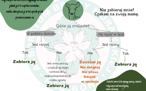 Co zrobić w przypadku znalezienia młodego dzikiego zwierzęcia (2)