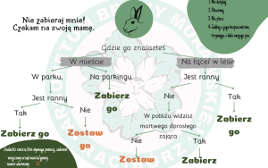 Co zrobić w przypadku znalezienia młodego dzikiego zwierzęcia (3)