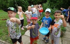 Mali ogrodnicy dbają o swoje warzywniki i delektują się pierwszymi zbiorami (11)