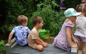 Mali ogrodnicy dbają o swoje warzywniki i delektują się pierwszymi zbiorami (12)