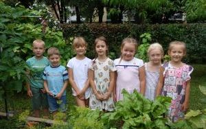 Mali ogrodnicy dbają o swoje warzywniki i delektują się pierwszymi zbiorami (5)