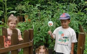 Mali ogrodnicy dbają o swoje warzywniki i delektują się pierwszymi zbiorami (11)