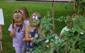 Mali ogrodnicy dbają o swoje warzywniki i delektują się pierwszymi zbiorami (10)