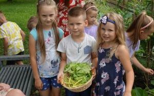 Mali ogrodnicy dbają o swoje warzywniki i delektują się pierwszymi zbiorami (12)