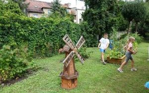 Mali ogrodnicy dbają o swoje warzywniki i delektują się pierwszymi zbiorami (6)