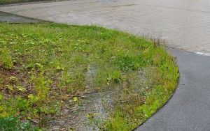 Zielona polityka miejska. Jak to się robi w Kopenhadze (9)