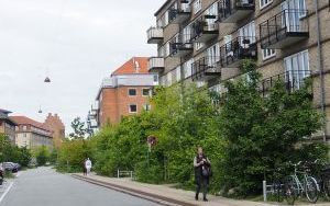 Zielona polityka miejska. Jak to się robi w Kopenhadze (16)