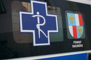 Interwencja Straży Miejskiej