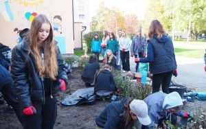 Ogród deszczowy przy P23 pomaga oszczędzać wodę i cieszy zielenią (5)