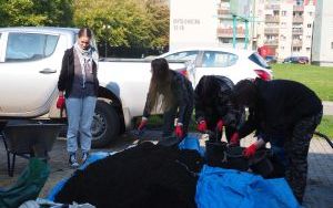 Ogród deszczowy przy P23 pomaga oszczędzać wodę i cieszy zielenią (6)