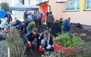 Ogród deszczowy przy P23 pomaga oszczędzać wodę i cieszy zielenią (12)