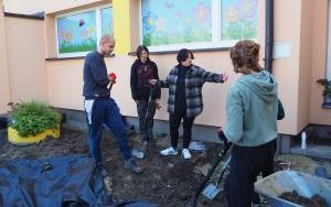Ogród deszczowy przy P23 pomaga oszczędzać wodę i cieszy zielenią (13)