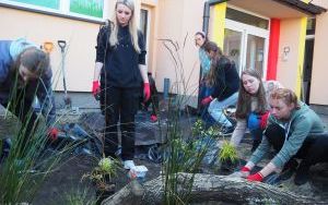 Ogród deszczowy przy P23 pomaga oszczędzać wodę i cieszy zielenią (19)
