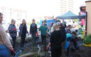 Ogród deszczowy przy P23 pomaga oszczędzać wodę i cieszy zielenią (20)