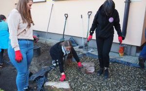 Ogród deszczowy przy P23 pomaga oszczędzać wodę i cieszy zielenią (2)